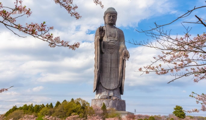 Spring Special: Ibaraki Hitachi Seaside Park + Ushiku Daibutsu + Mentai Park 1-Day Tour from Tokyo (Apr 14~May 14)