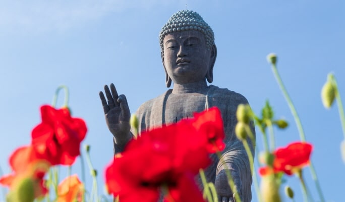 Spring Special: Ibaraki Hitachi Seaside Park + Ushiku Daibutsu + Mentai Park 1-Day Tour from Tokyo (Apr 14~May 14)