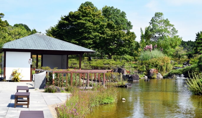 Spring Special: Ibaraki Hitachi Seaside Park + Ushiku Daibutsu + Mentai Park 1-Day Tour from Tokyo (Apr 14~May 14)