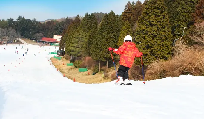 Mt. Rokko Snow Park: Kansai Kobe Ski/Snowboard/Snow Sled & Onsen 1 Day Tour from Osaka