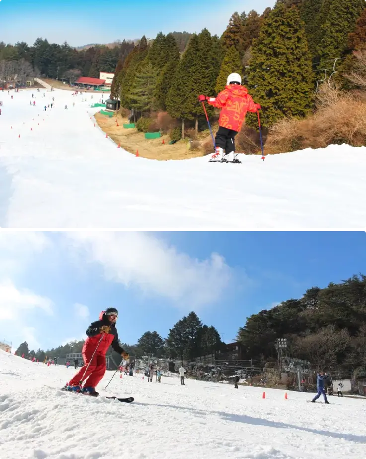 Skier enjoying the snowy slopes at Mt. Rokko Snow Park