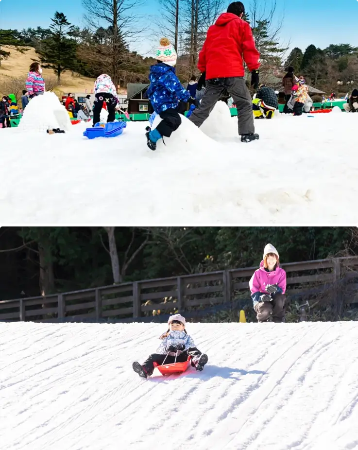 Children sledding down snowy hills at Mt. Rokko Snow Park