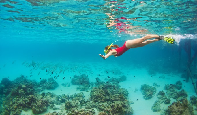 Koh Bon 1 Day Tour by Long-tail Boat - from Phuket (+ Snorkeling/Lunch) (Join-in)