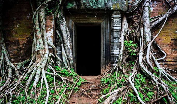 Angkor Temples Tour: Koh Ker + Beng Mealea 1 Day Tour