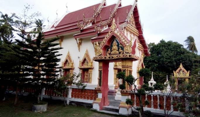 Koh Phangan Island Eco Nature Tour (+ Lunch) (+ Snorkeling/Zipline/Archery/Muaythai options) (Full day / Half day)