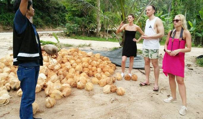 Koh Phangan Island Eco Nature Tour (+ Lunch) (+ Snorkeling/Zipline/Archery/Muaythai options) (Full day / Half day)