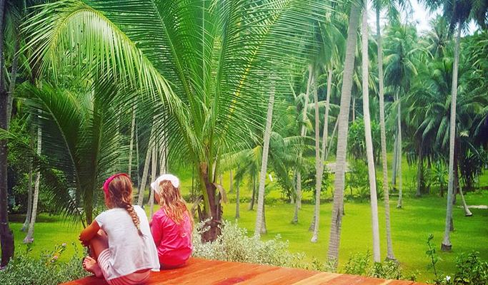 Koh Phangan Beaches/Inland Areas 1 Day Adventure (+Lunch / Transfer / Zipline) (+Snorkeling option)