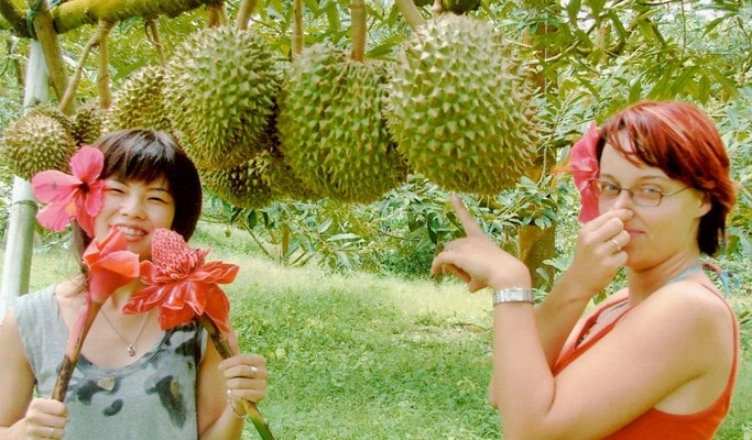 Koh Samui Adventure: Jungle Safari Tour