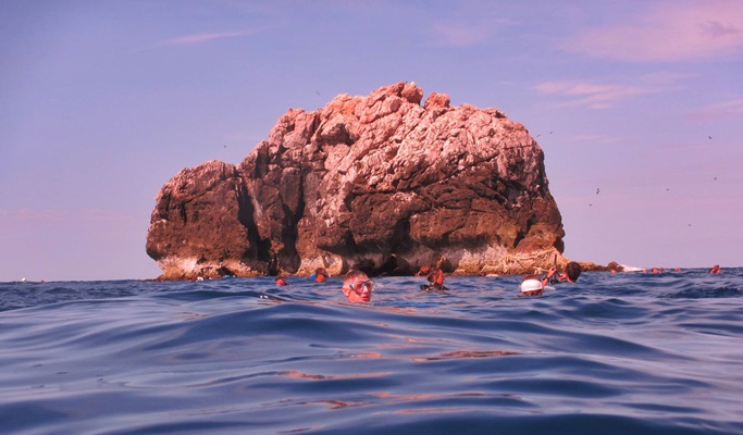 Koh Samui 1 Day  Scuba Diving Tour (For Non-Certified & Certified Divers) (+ Snorkeling tour options)