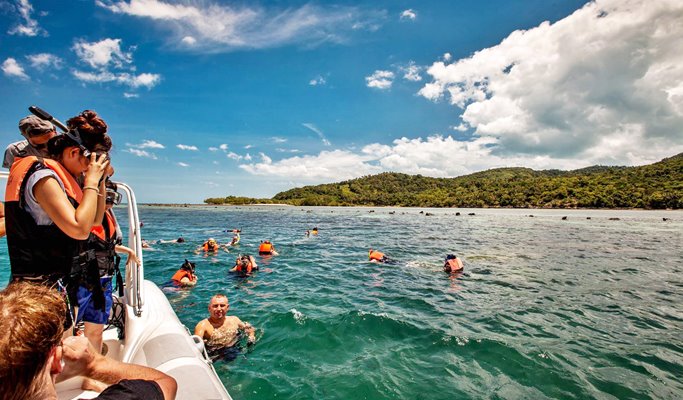 Koh Mae Koh Emerald Lagoon & Koh Wua Talap Premium Yacht Tour (+Transfer/lunch) - from Koh Samui