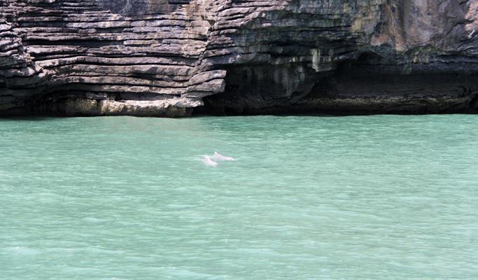 Koh Taen & Koh Mat Sum Tour (+Meal/Snorkeling) (+Kayaking / Fishing / Dolphin-watching options) by Long-tail Boat/Speedboat - from Koh Samui