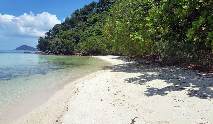 Koh Tan (Ko Taen) + Pig Island + Koh Rap Half Day Semi-Private Yacht Tour - from Koh Samui (+ Hotel Transfer)