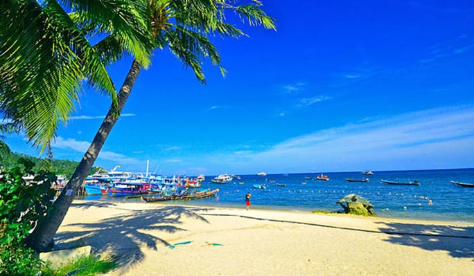 Koh Tao + Nang Yuan Island 1 Day Tour by Speedboat (+ Snorkeling/Lunch) (+ Hotel Transfer) - from Koh Samui