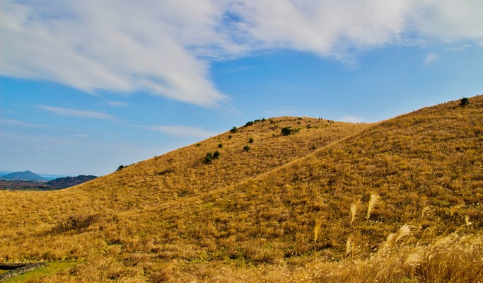 Korea Autumn/Fall Foliage 1 Day Tour (Jeju ↔ Vicinities, Oct 25~Nov 10)