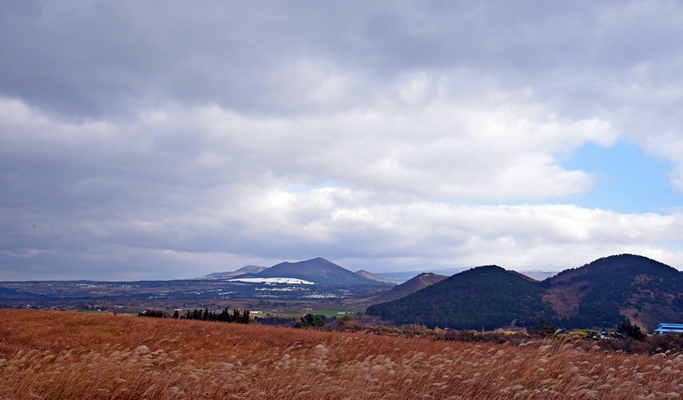 Korea Autumn/Fall Foliage 1 Day Tour (Jeju ↔ Vicinities, Oct 25~Nov 10)