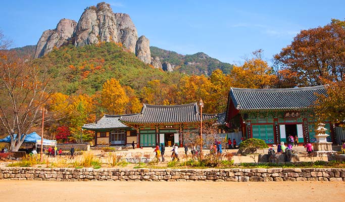 [Autumn Foliage] Naejangsan/ Jirisan/ Juwangsan/ Gyeongju 1 Day Tour - from Busan (Oct 26~Nov 20)