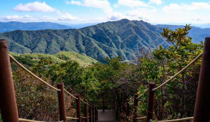 Korea Trails & Peaks Seasonal Hiking Tour from Seoul
