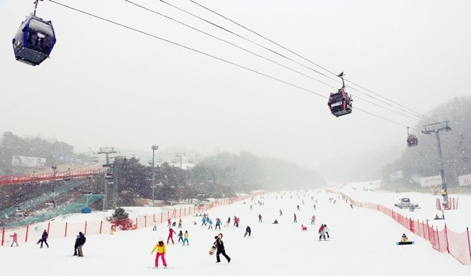 1 Day Ski/Snowboard/Snowy Land Snow Sled Tour: Vivaldi Park Ski Resort