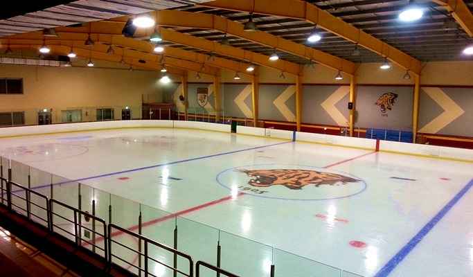 Korea University Ice Rink Ticket