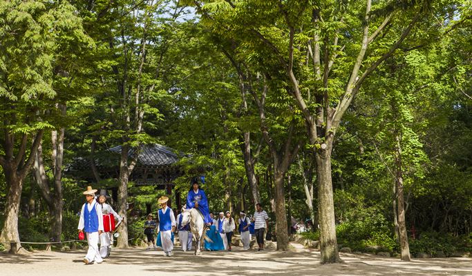 韓国民俗村割引チケット