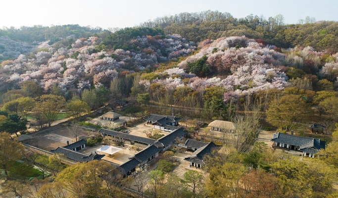 Korean Folk Village + Starfield Suwon + Hwaseong Fortress (+ Tethered Hot Air Balloon Experience option) 1 Day Tour - from Seoul