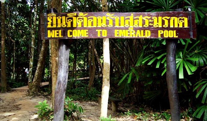 Krabi Jungle 1 Day Tour: Hot Spring + Emerald Pool + Tiger Cave Temple  (+Lunch) (+ Hotel Transfer)