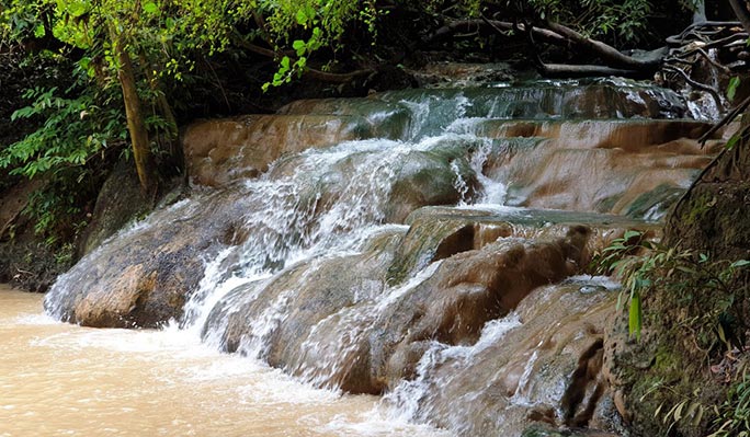 Krabi Jungle 1 Day Tour: Hot Spring + Emerald Pool + Tiger Cave Temple  (+Lunch) (+ Hotel Transfer)