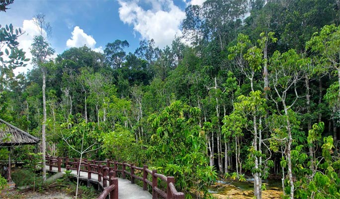 Krabi Jungle 1 Day Tour: Hot Spring + Emerald Pool + Tiger Cave Temple  (+Lunch) (+ Hotel Transfer)