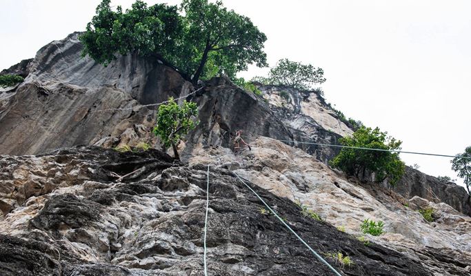 Krabi Rock Climbing Adventures (Half Day / Full Day)