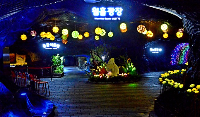 Gwangmyeong Cave + Anseong Farm Land + Ansan Starlight Village Photoland Afternoon Tour (~Dec)