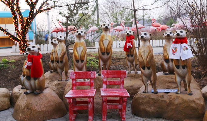 Gwangmyeong Cave + Anseong Farm Land + Ansan Starlight Village Photoland Afternoon Tour (~Dec)