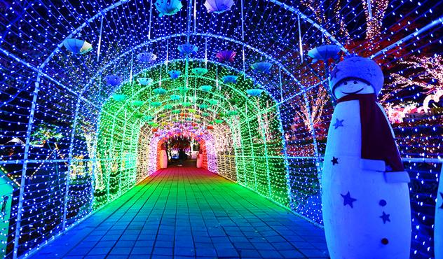 Gwangmyeong Cave + Anseong Farm Land + Ansan Starlight Village Photoland Afternoon Tour (~Dec)