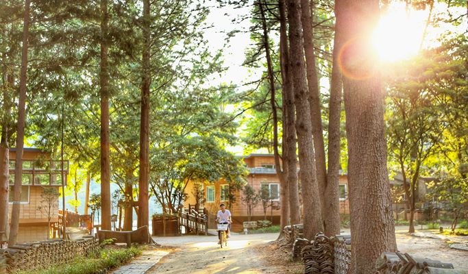 Nami Island & Pyunggang Land 1 Day Tour (~Oct)