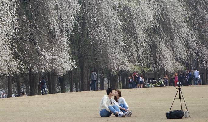 Nami Island & Pyunggang Land 1 Day Tour (~Oct)