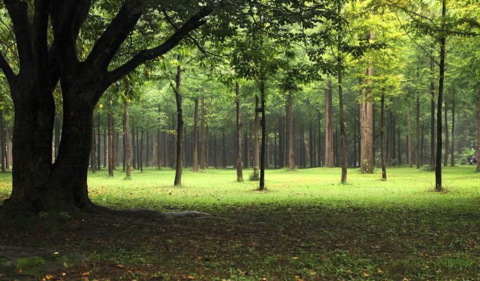 Nami Island & Pyunggang Land 1 Day Tour (~Oct)