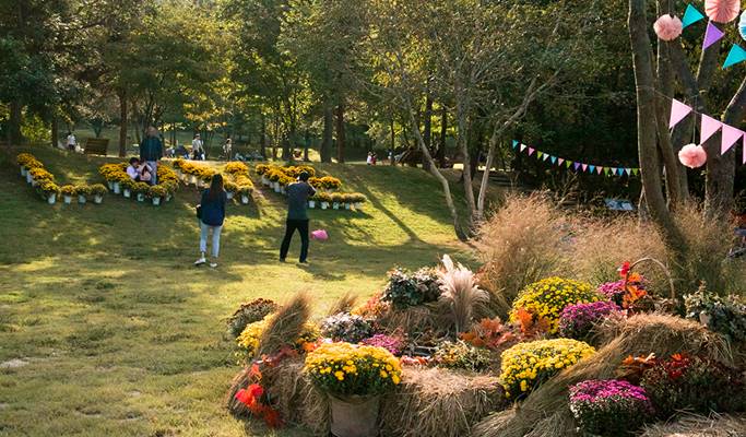 Nami Island & Pyunggang Land 1 Day Tour (~Oct)