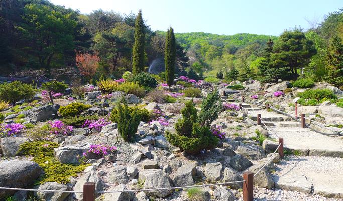 Nami Island & Pyunggang Land 1 Day Tour (~Oct)