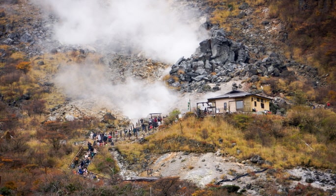 Mt. Fuji 5th Station + Hakone 1 Day Tour from Tokyo