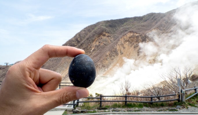 Mt. Fuji 5th Station + Hakone 1 Day Tour from Tokyo