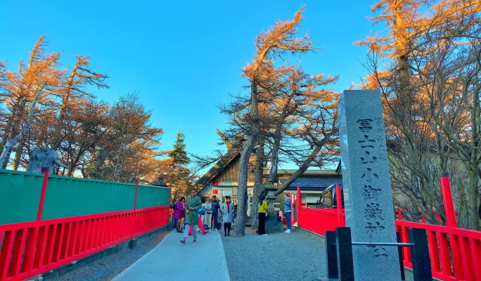 Mt. Fuji 5th Station + Hakone 1 Day Tour from Tokyo