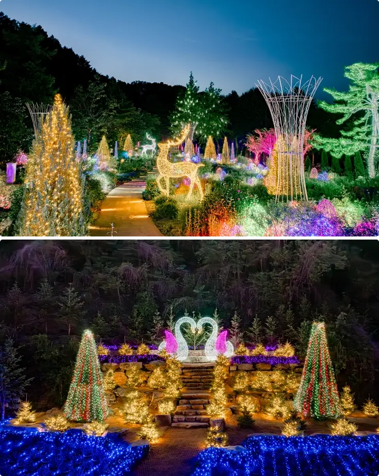 Light festival at The Stay Healing Park in Gapyeong