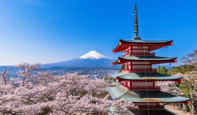 Mt. Fuji Highlight Photo Spots 1 Day Tour from Tokyo