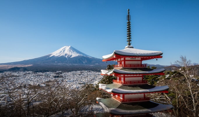 Mt. Fuji Highlight Photo Spots 1 Day Tour from Tokyo