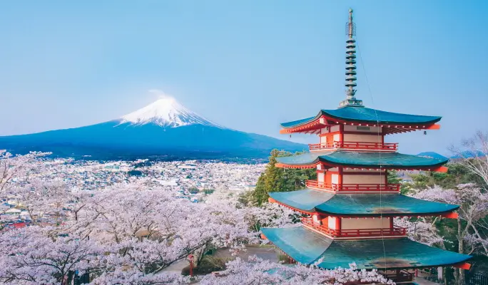 Mt. Fuji Signature Scenic Spots 1 Day Tour from Tokyo
