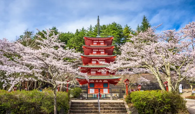 Mt. Fuji Signature Scenic Spots 1 Day Tour from Tokyo