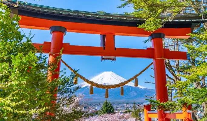 Mt. Fuji Signature Scenic Spots 1 Day Tour from Tokyo