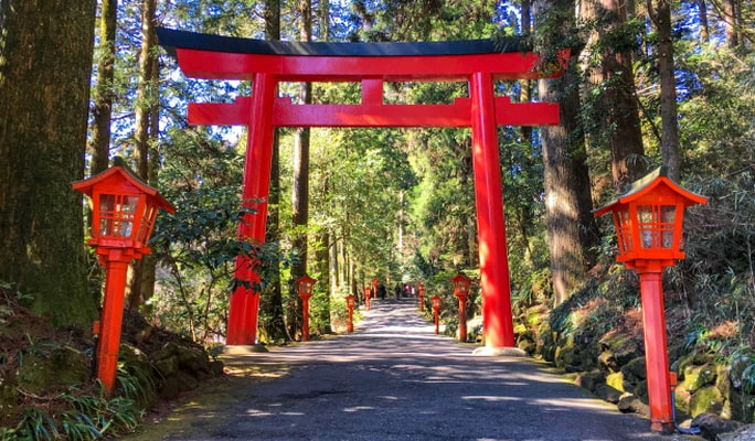 Hakone Ropeway & Pirate Ship & Oshino Hakkai 1 Day Tour from Tokyo