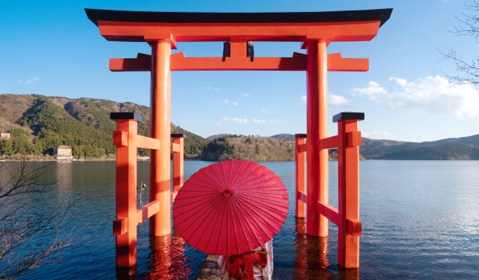 Hakone & The Open-Air Museum 1 Day Tour from Tokyo