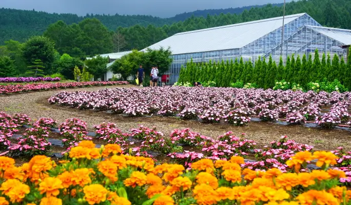 Mt. Fuji Signature Scenic Spots 1 Day Tour from Tokyo