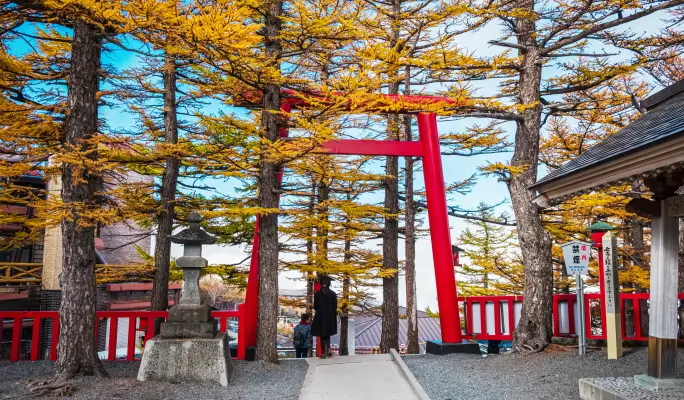 Mt. Fuji Hiking 1 Day Tour from Tokyo (5th to 7th Station)